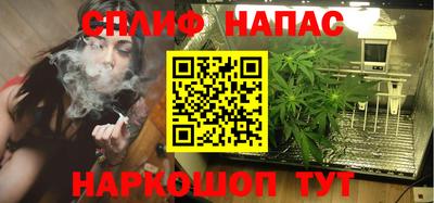 Альфа ПВП Будённовск