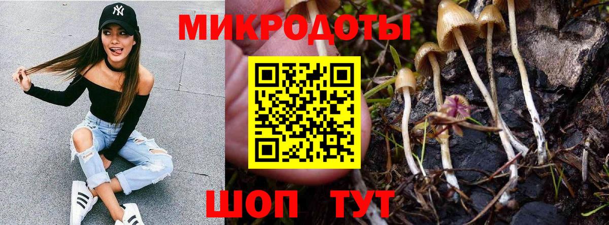 Скопин  Псилоцибиновые грибы мицелий  Вход с VPN 